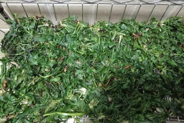 蒲公英茶的制作的做法图解4