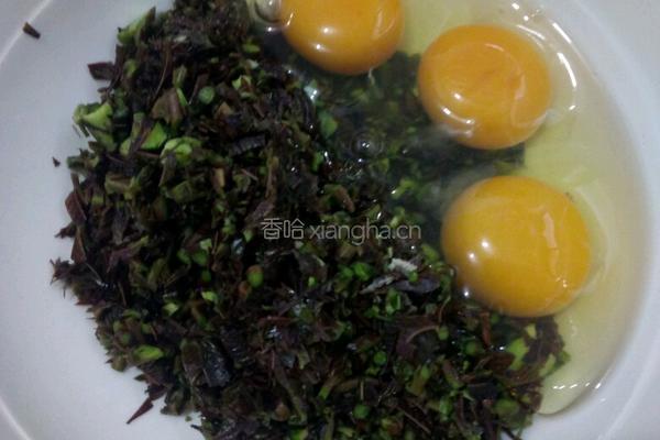 香椿芽炒鸡蛋的做法图解2