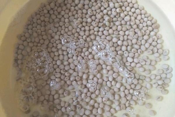坚果豆浆的做法图解1