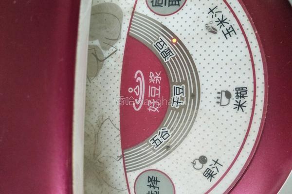 坚果豆浆的做法图解6