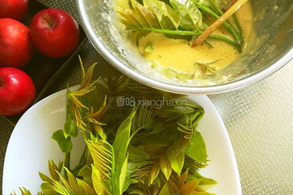 香椿料理的做法图解4