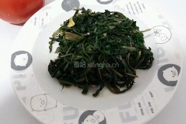 凉拌蒲公英