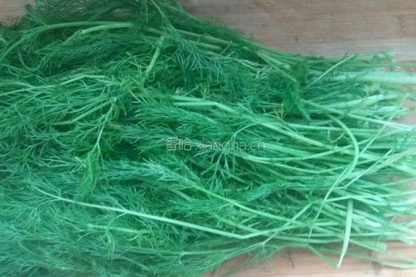 茴香鲜肉饺子馅……豆瓣酱版的做法图解1