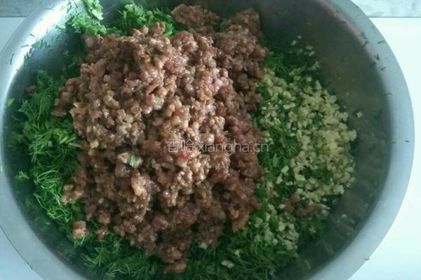 茴香鲜肉饺子馅……豆瓣酱版的做法图解7
