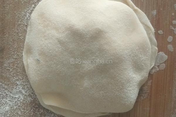 茴香肉馅盒子的做法图解13
