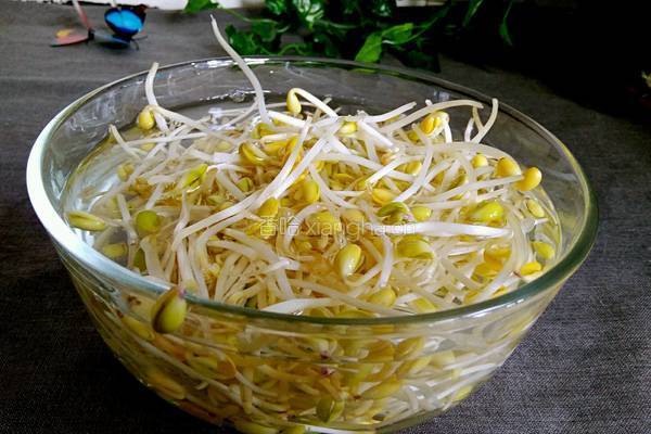青蒜炒黄豆芽的做法图解3