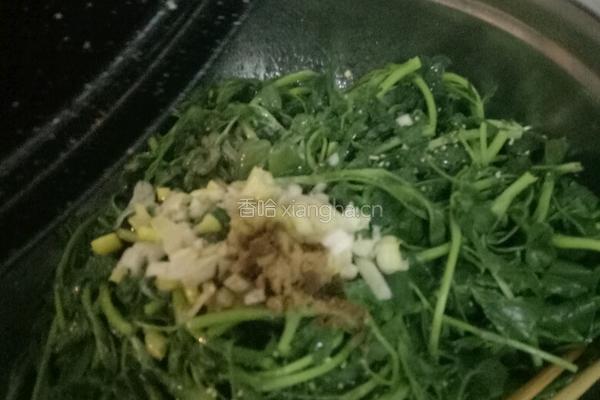 凉拌苜蓿的做法图解8