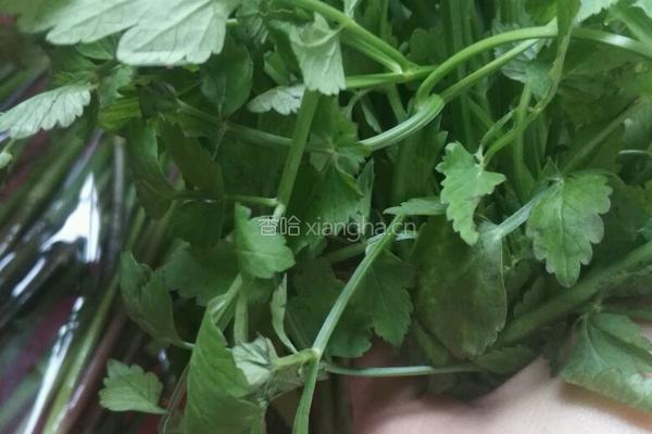 野芹菜炒牛肉的做法图解1