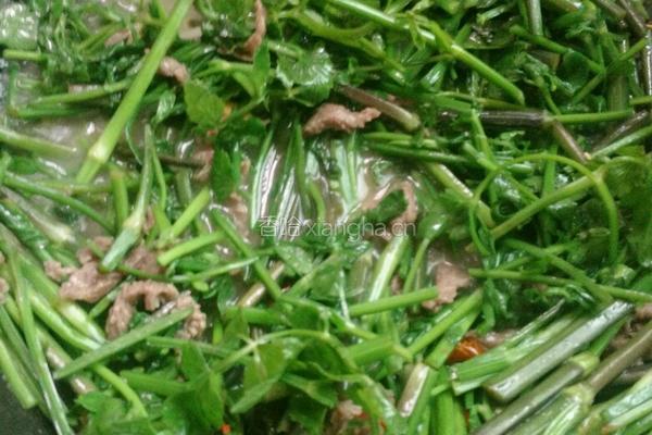 野芹菜炒牛肉的做法图解9