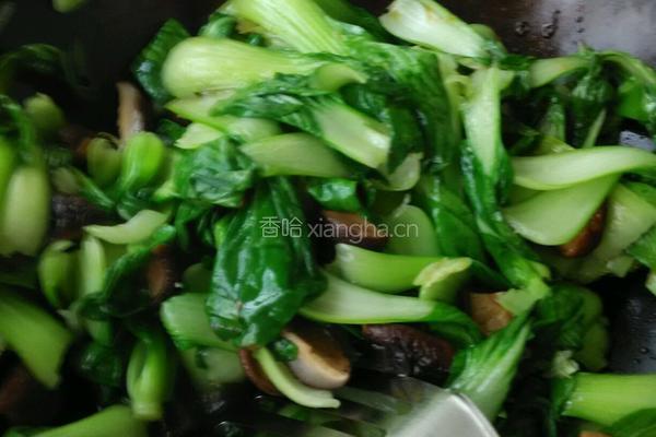 油菜蚝油香菇的做法图解6