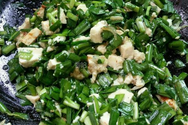 韭菜豆腐包子的做法图解5
