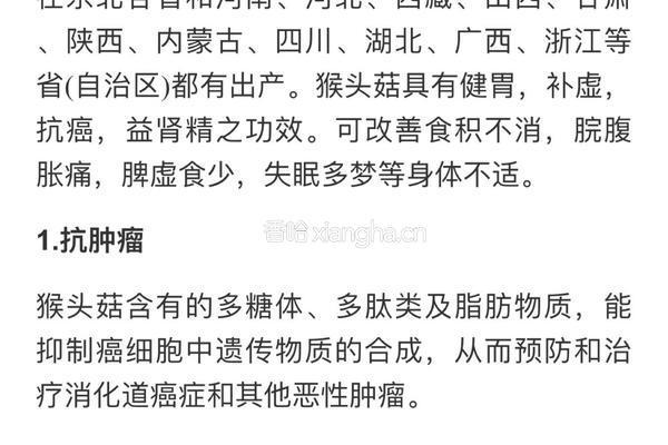 猴头菇炖鸡汤的做法图解13