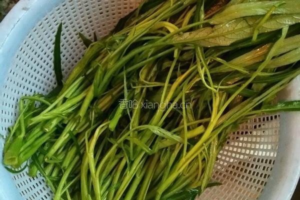 青菜的做法图解1