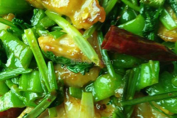 香菜青椒小炒肉的做法图解4