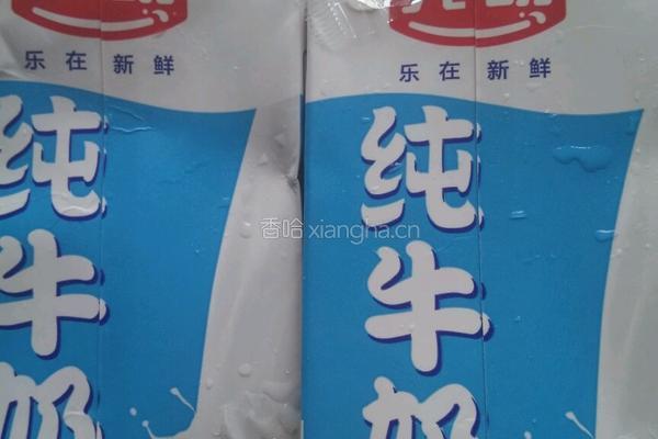 草莓奶昔的做法图解2