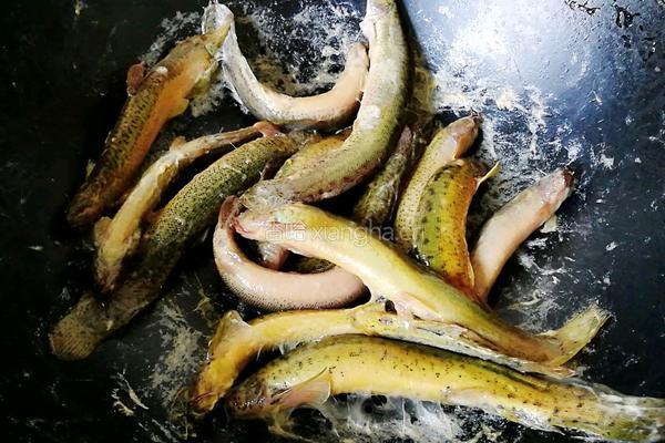泥鳅豆腐汤的做法图解1