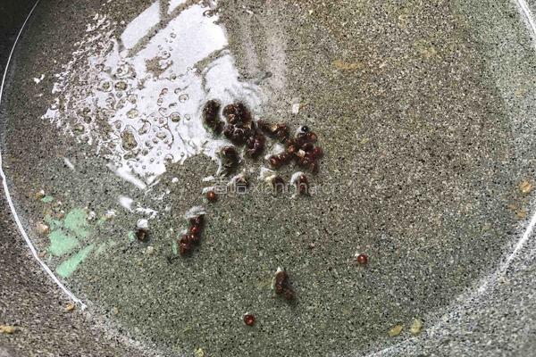 洋葱炒千叶豆腐的做法图解6
