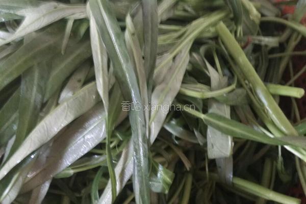 拌空心菜的做法图解1
