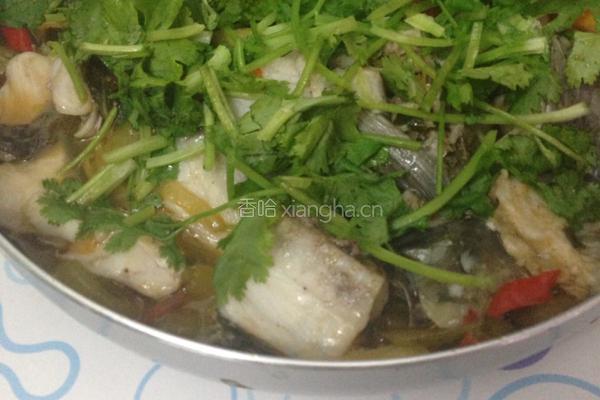 酸菜鱼的做法图解9