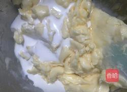 蔓越莓饼干的做法图解4