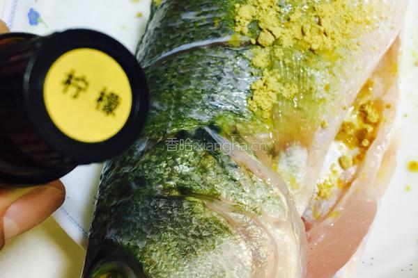 葱香茄汁焖鲈鱼的做法图解9