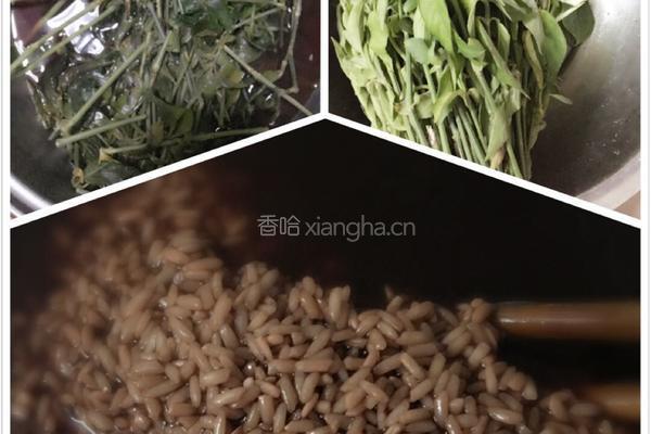壮乡的的五色糯米饭的做法图解4