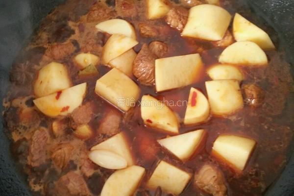 土豆烧牛肉的做法图解4