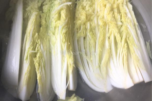 蒜蓉粉丝娃娃菜的做法图解3