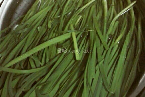 马哈鱼韭菜饺子的做法图解2