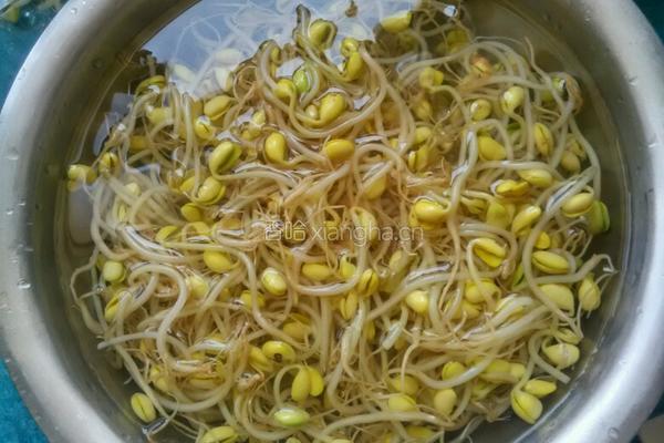 豆芽蒜苗五花肉的做法图解1