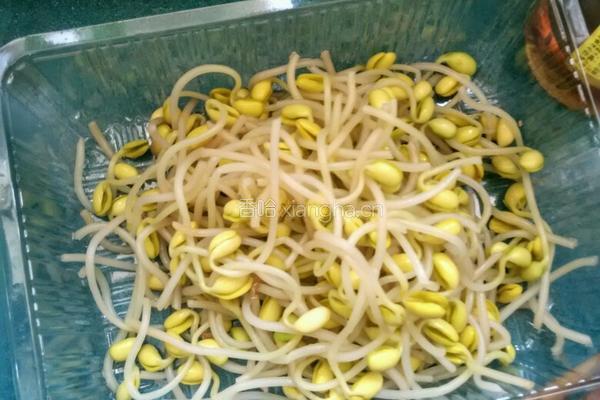 豆芽蒜苗五花肉的做法图解2