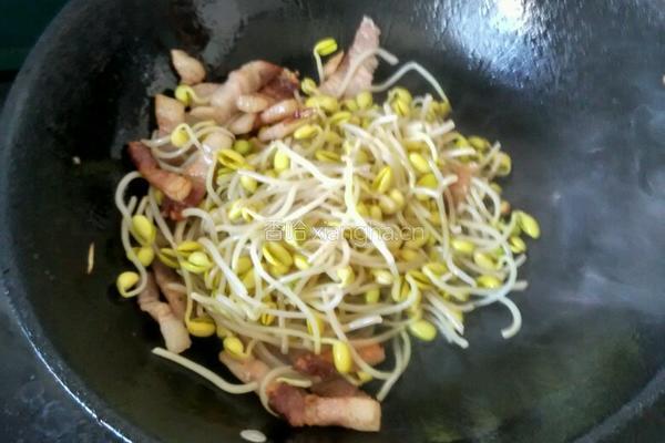 豆芽蒜苗五花肉的做法图解9