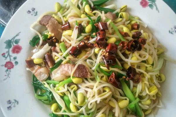豆芽蒜苗五花肉的做法图解12