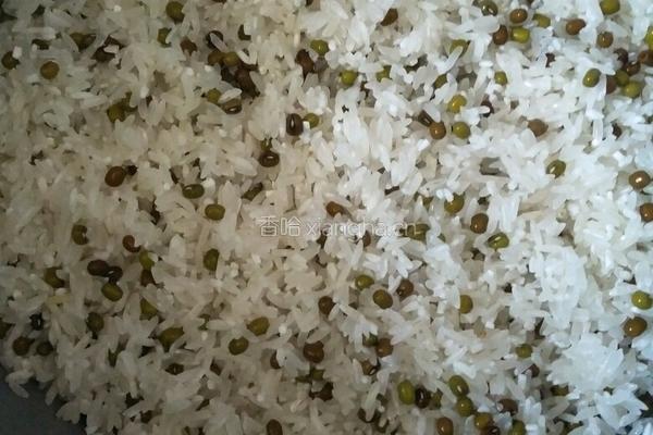 绿豆饭的做法图解3