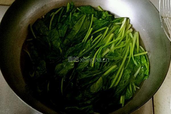 菠菜炖粉条的做法图解3