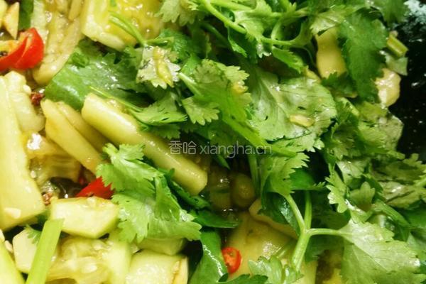 凉拌刀拍黄瓜的做法图解4