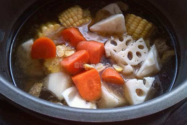 玉米莲藕炖牛腩的做法图解4