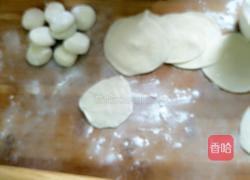韭菜鸡蛋饺子的做法图解6