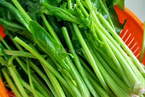 菠菜炒鸡蛋的做法图解1