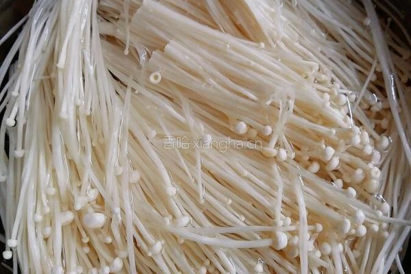 油泼金针菇的做法图解2