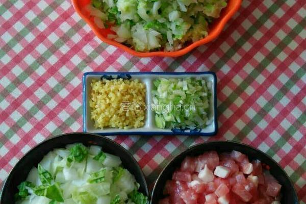 白菜丁肉丁大包子的做法图解3