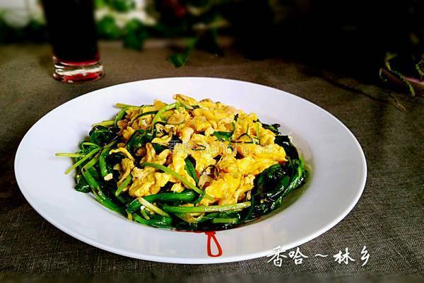 韭菜虾皮炒鸡蛋的做法图解15