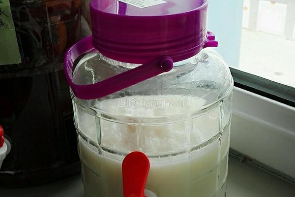 自制米酒的做法图解9