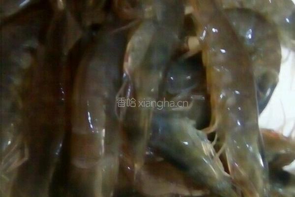 蒜蓉粉丝开背虾的做法图解1