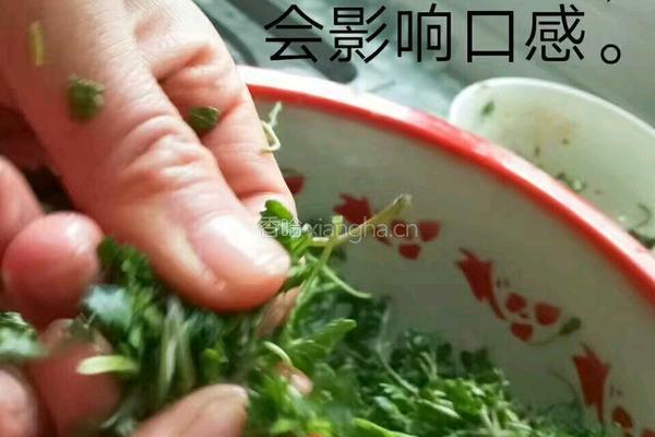 蒸艾的做法图解1