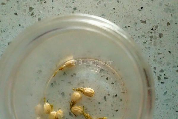 茉莉花茶的做法图解3