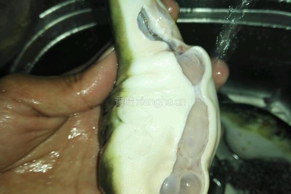 红烧河豚（带宰杀技术）的做法图解3