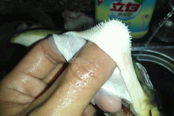 红烧河豚（带宰杀技术）的做法图解6