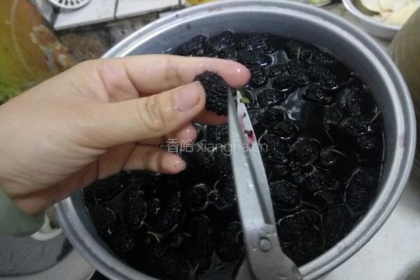桑椹果汁酱的做法图解2