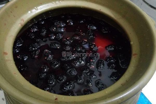 桑椹果汁酱的做法图解8